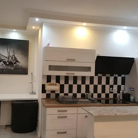 Apartament In Naehe Messe Flughafen