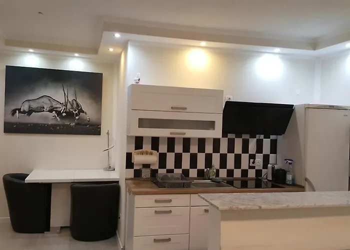 Apartment In Naehe Messe Flughafen